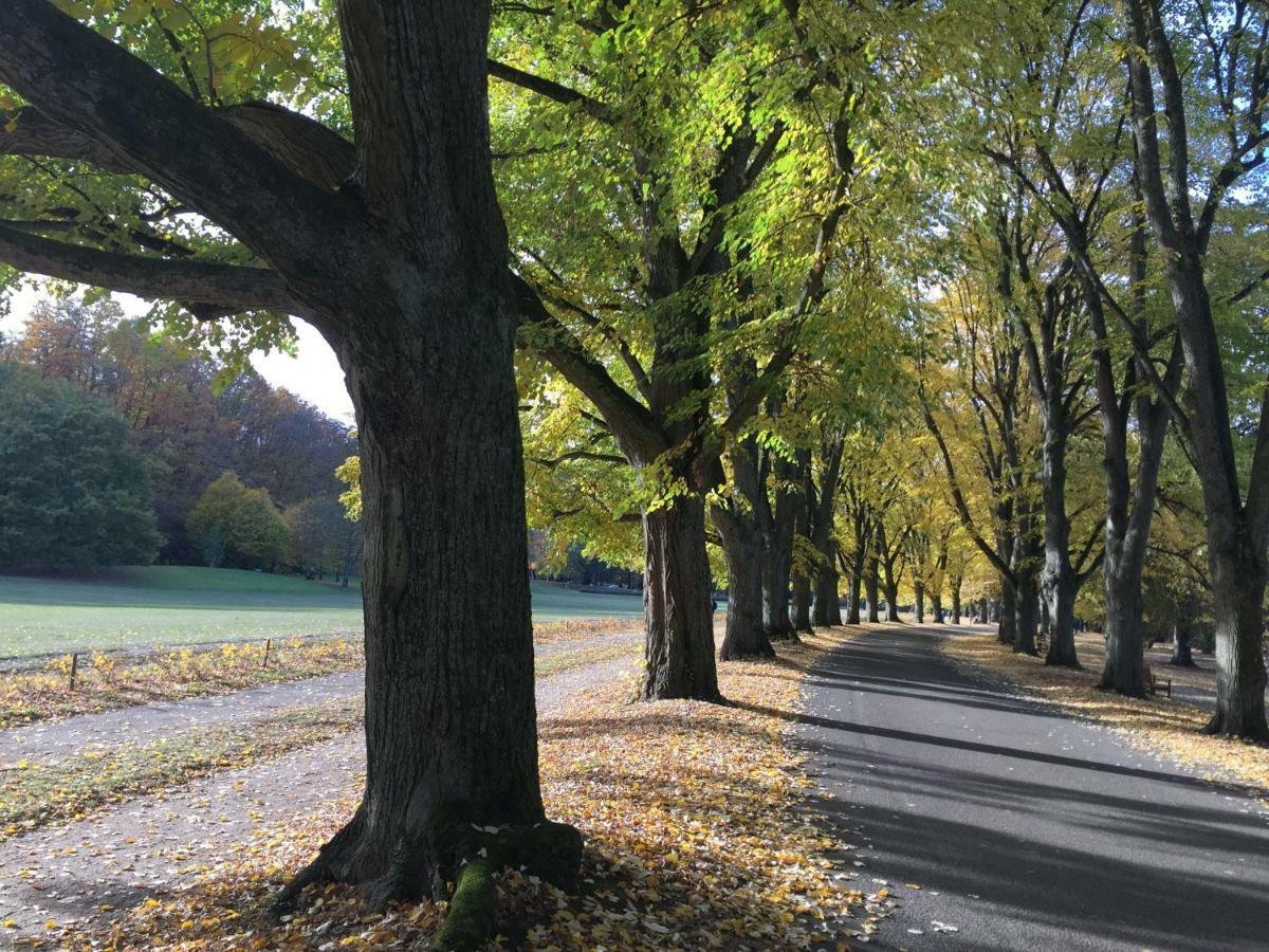 Suite Mit Blick Auf Die Lichtentaler Allee Baden-Baden Buitenkant foto